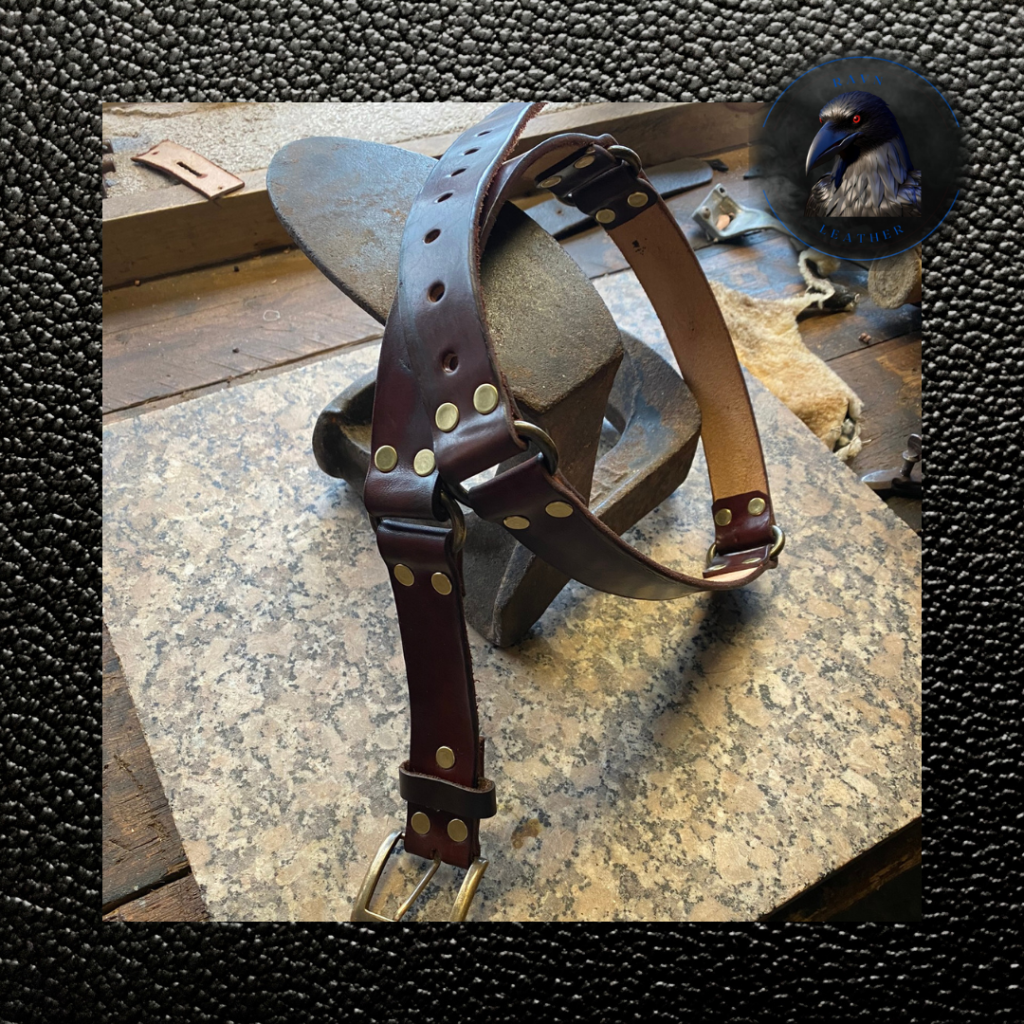 recreated belt