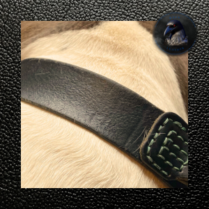 2 year old black split collar