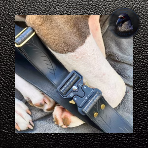quick release buckle on leather belt